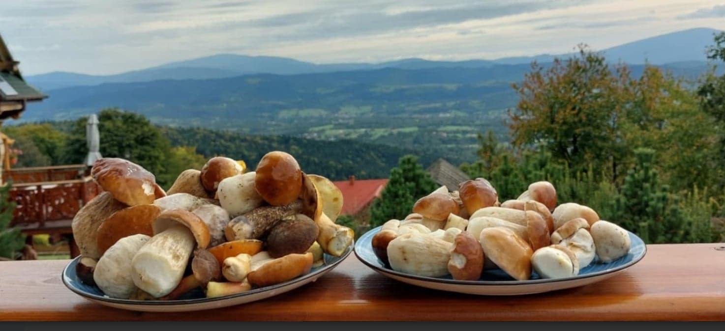 Jesień w górach, grzyby